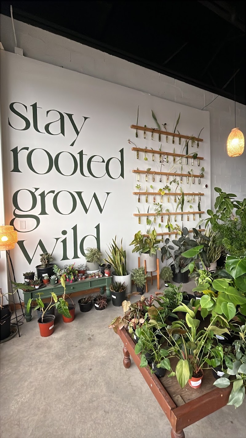 The Greenhouse photo 1