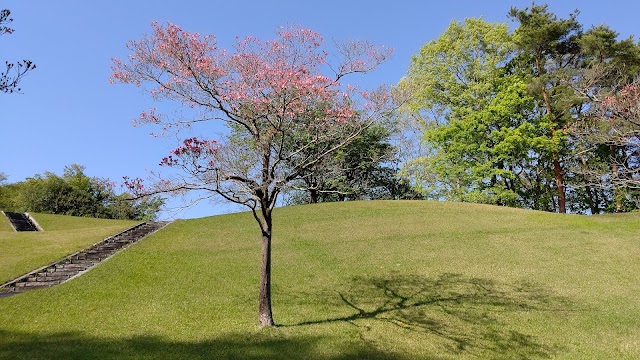 Hikone Country Club - Photo 10