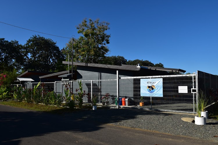 Raya Playa Matapalo B&B