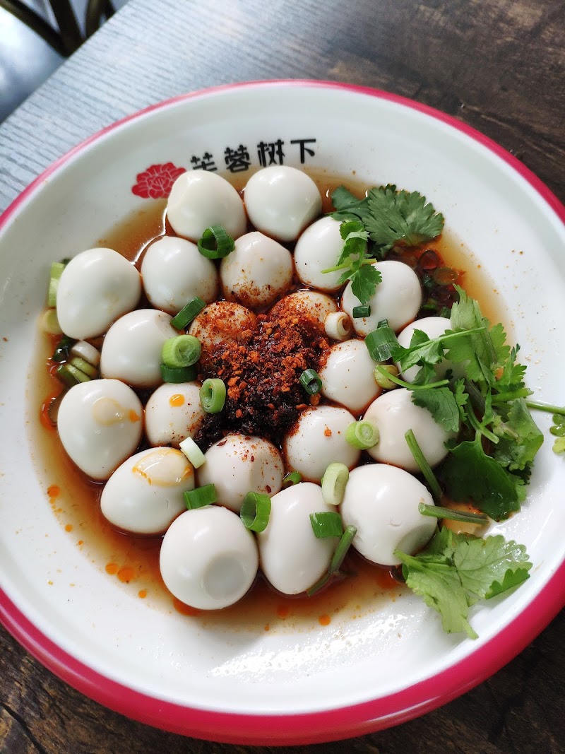 The Hibiscus Tree photo 5