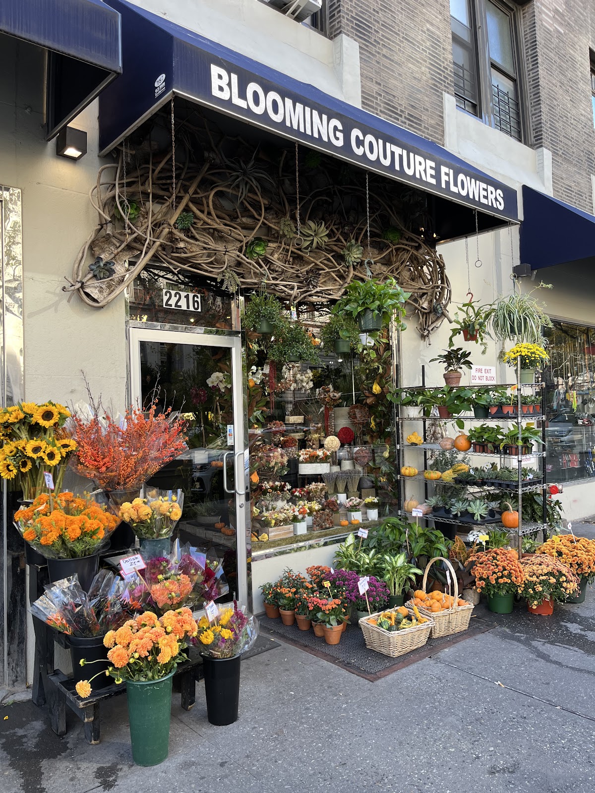 Blooming Couture Flowers: Google Places image 1