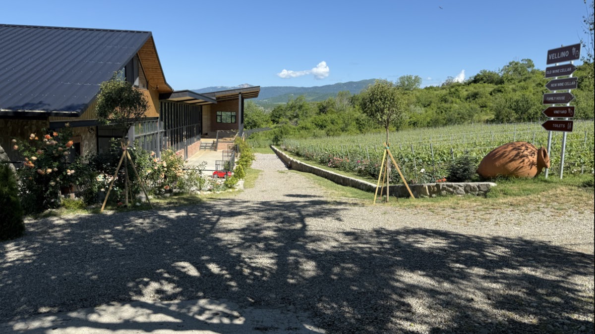 VELLINO Wines (Winery, Vineyard, Cellar)