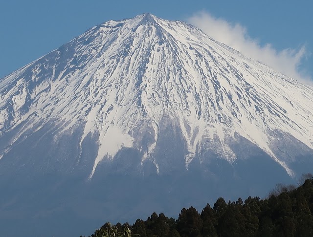 Zuien Country Club Century Fuji Course - Photo 5