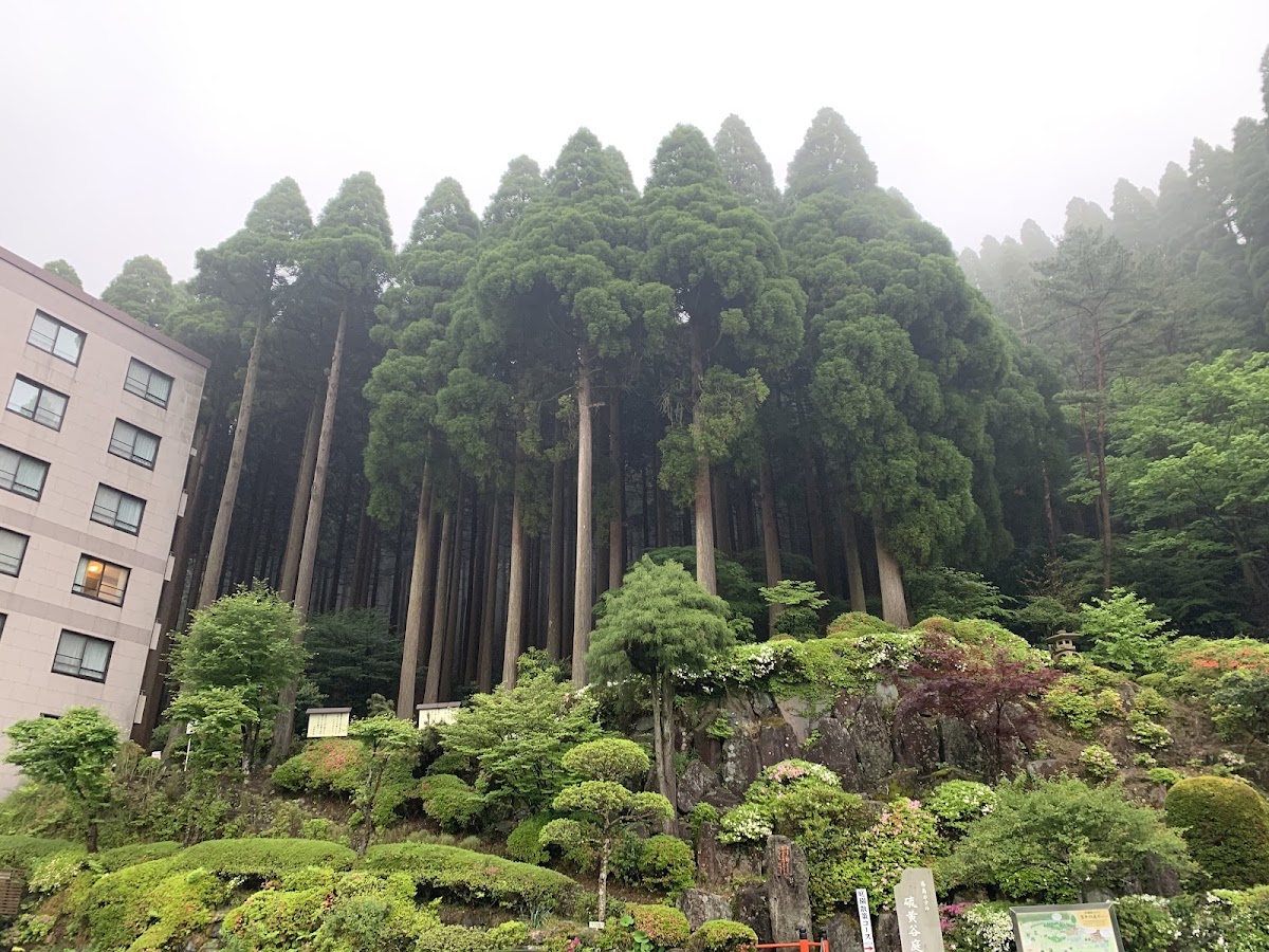 Kirishima Hotel - hotel in Kirishima Onsen, Kagoshima