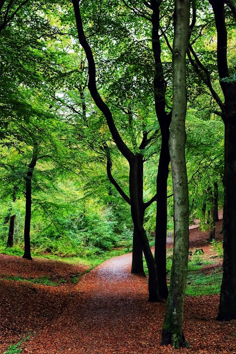 Tandle Hill Country Park fotoğraf 1
