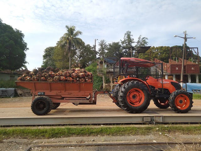 SJK(T) LADANG LAMBAK photo 3