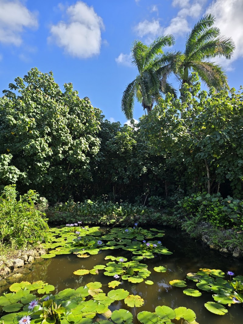 Queen Elizabeth II Botanic Park photo 2