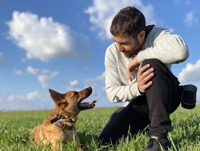 אופק מאלף ופנסיון כלבים