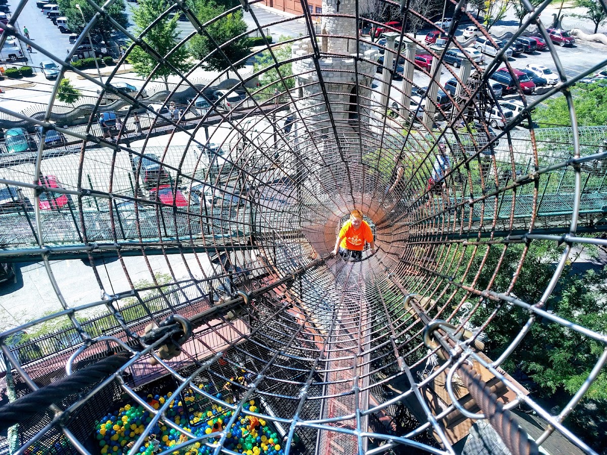 City Museum photo 2