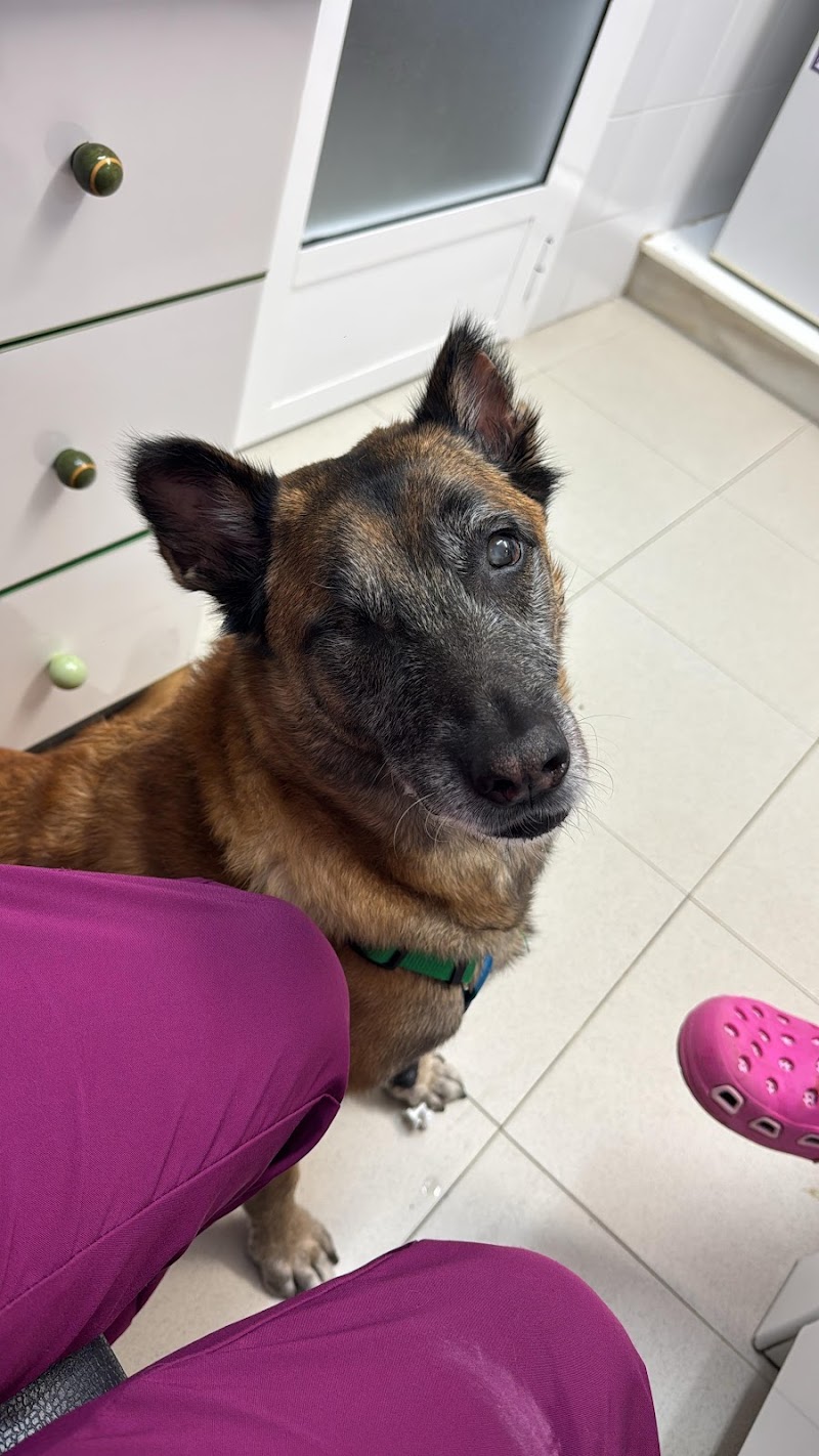 Hospital Veterinario do Salnés - Barrantes photo 2