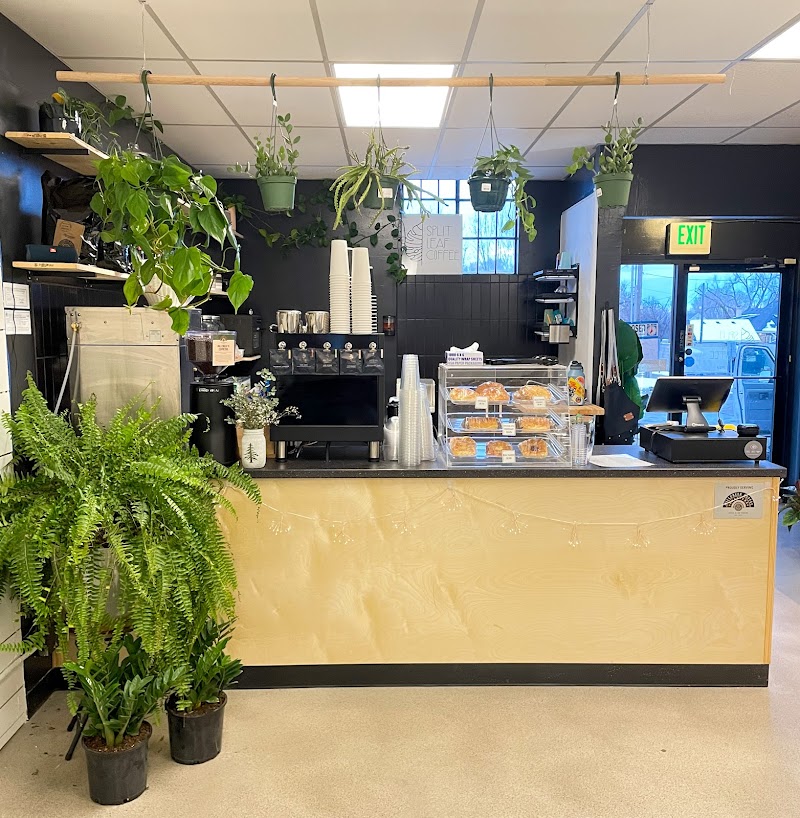 Split Leaf Coffee photo 1