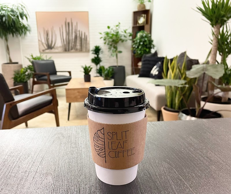 Split Leaf Coffee photo 3