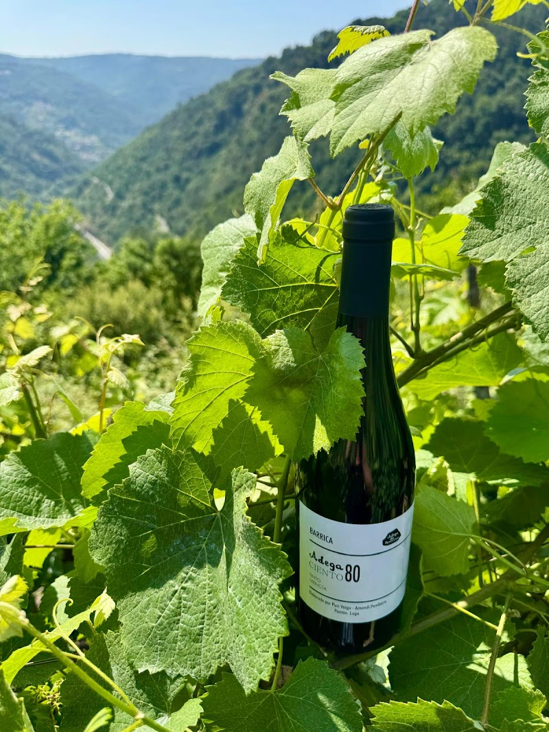 Adega do Severino photo 2