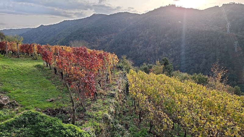 Adega do Severino photo 3