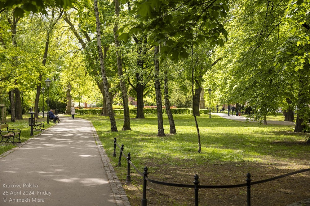 Strzelecki Park fotoğraf 1