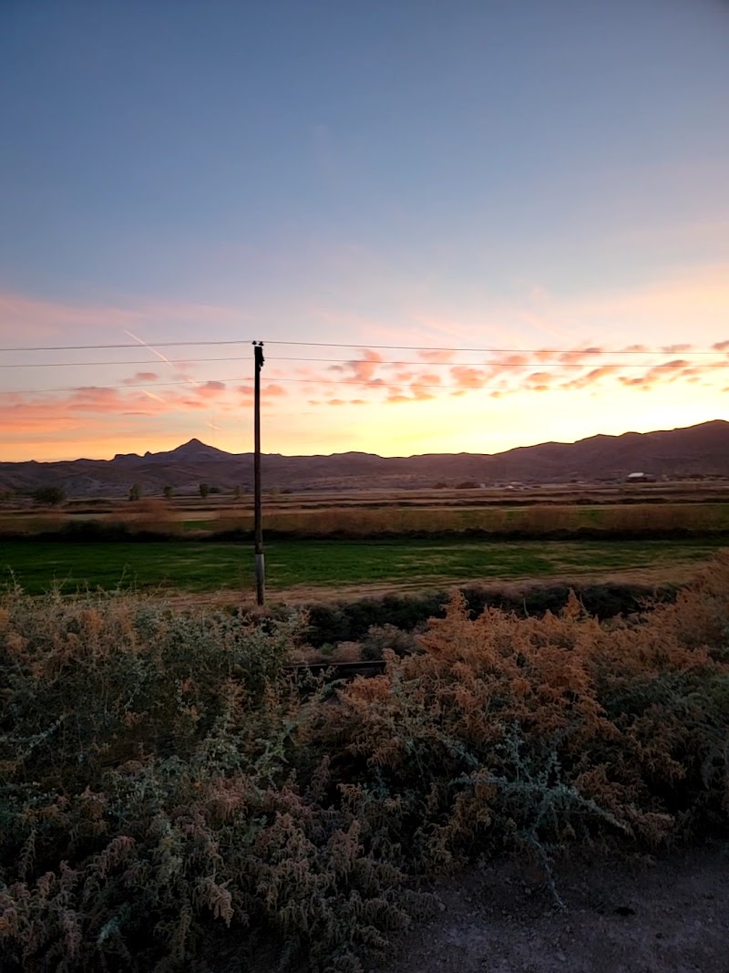 Wild West Horseback Adventures - Photo 4