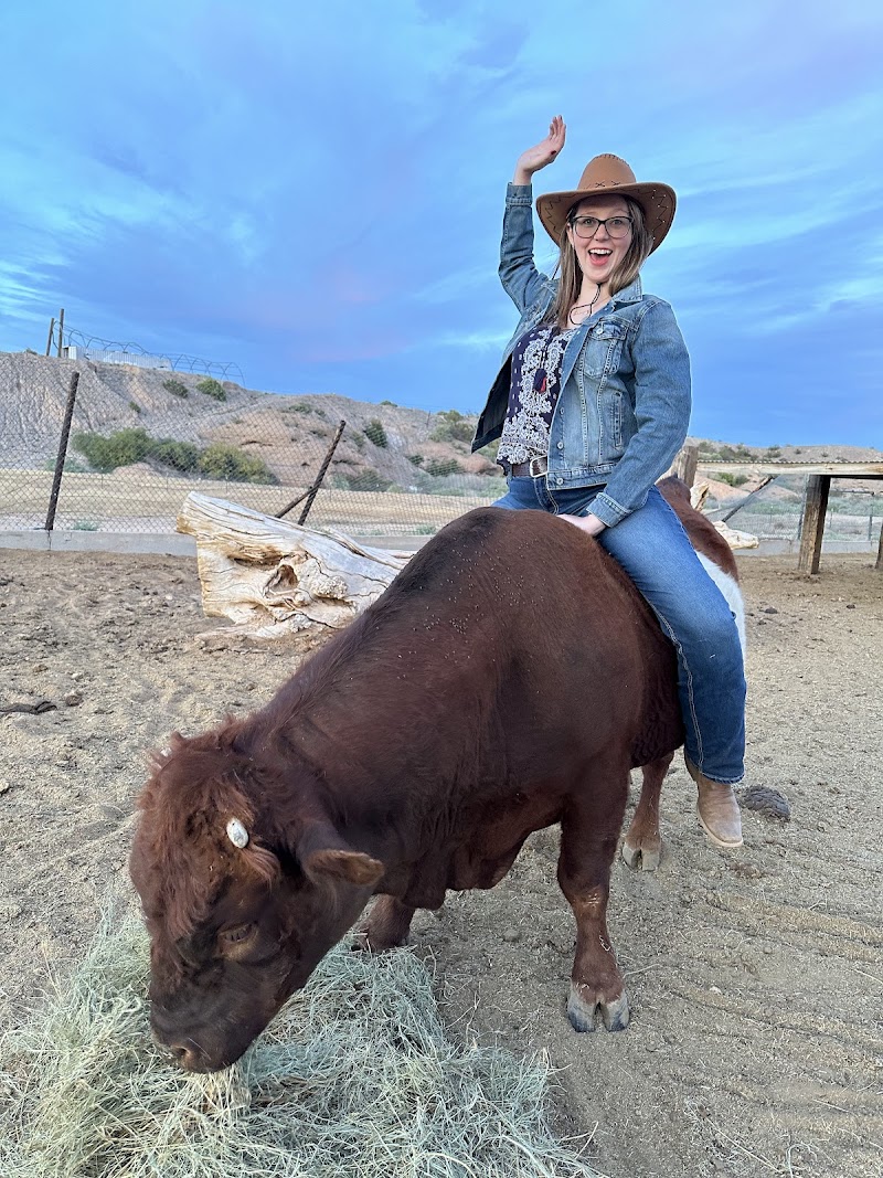 Wild West Horseback Adventures - Photo 2