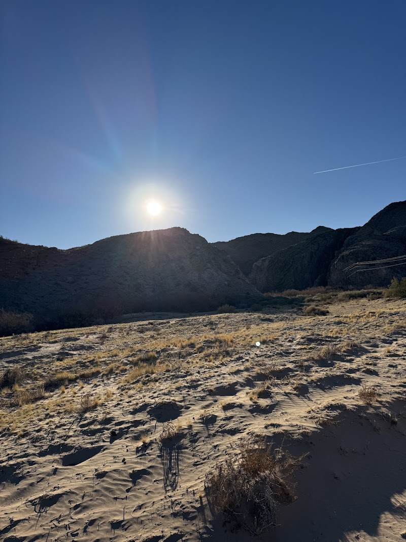 Wild West Horseback Adventures - Photo 1