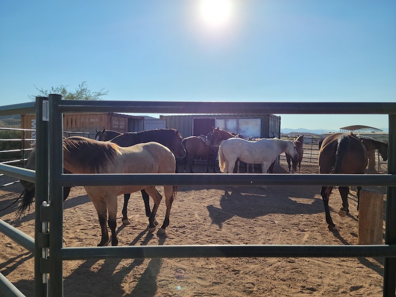 Wild West Horseback Adventures - Photo 5