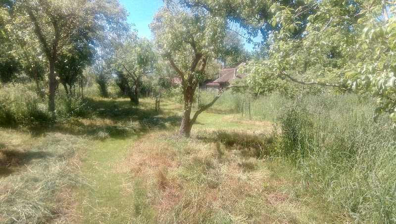 De Kievit