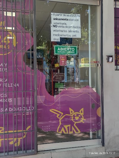 Foto 4