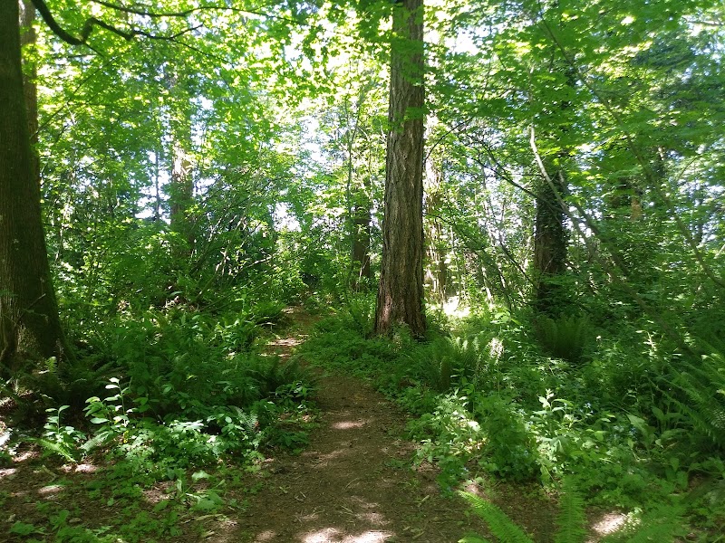 Farmers Park Disc Golf Course photo 2