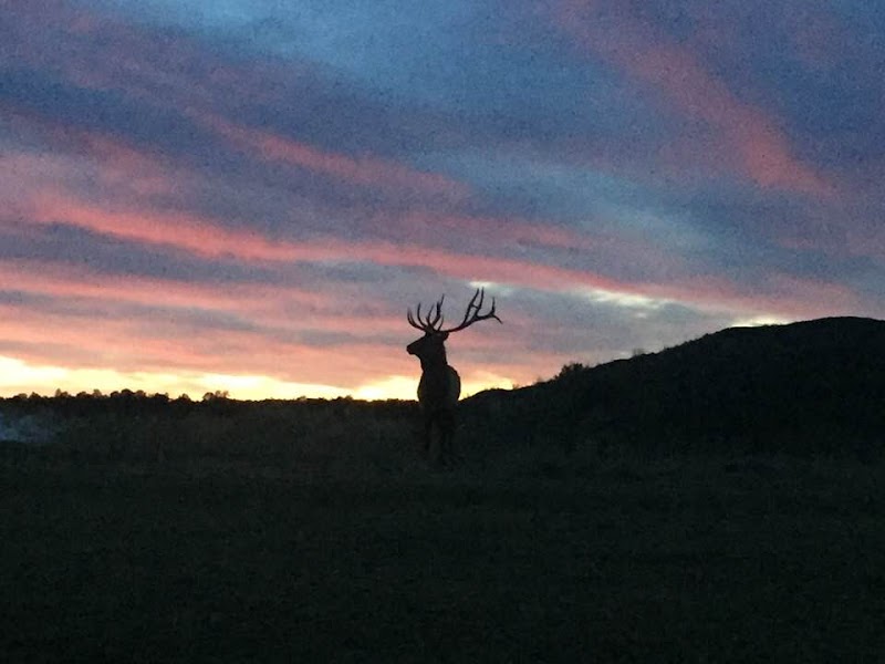 Tapocitos Big Game Hunts - Photo 3