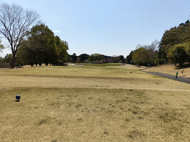 Hanno Green Country Club - Photo 9