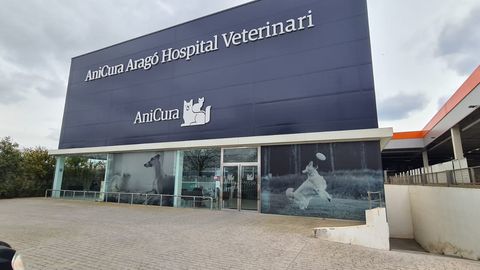 AniCura Aragó Hospital Veterinari | Urgències 24h