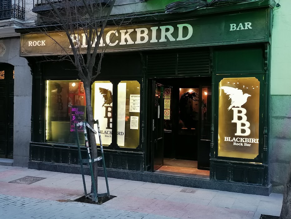 Blackbird fotoğraf 1