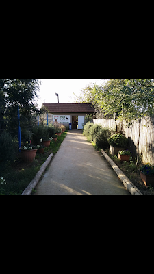 ג׳נסיס פנסיון כלבים