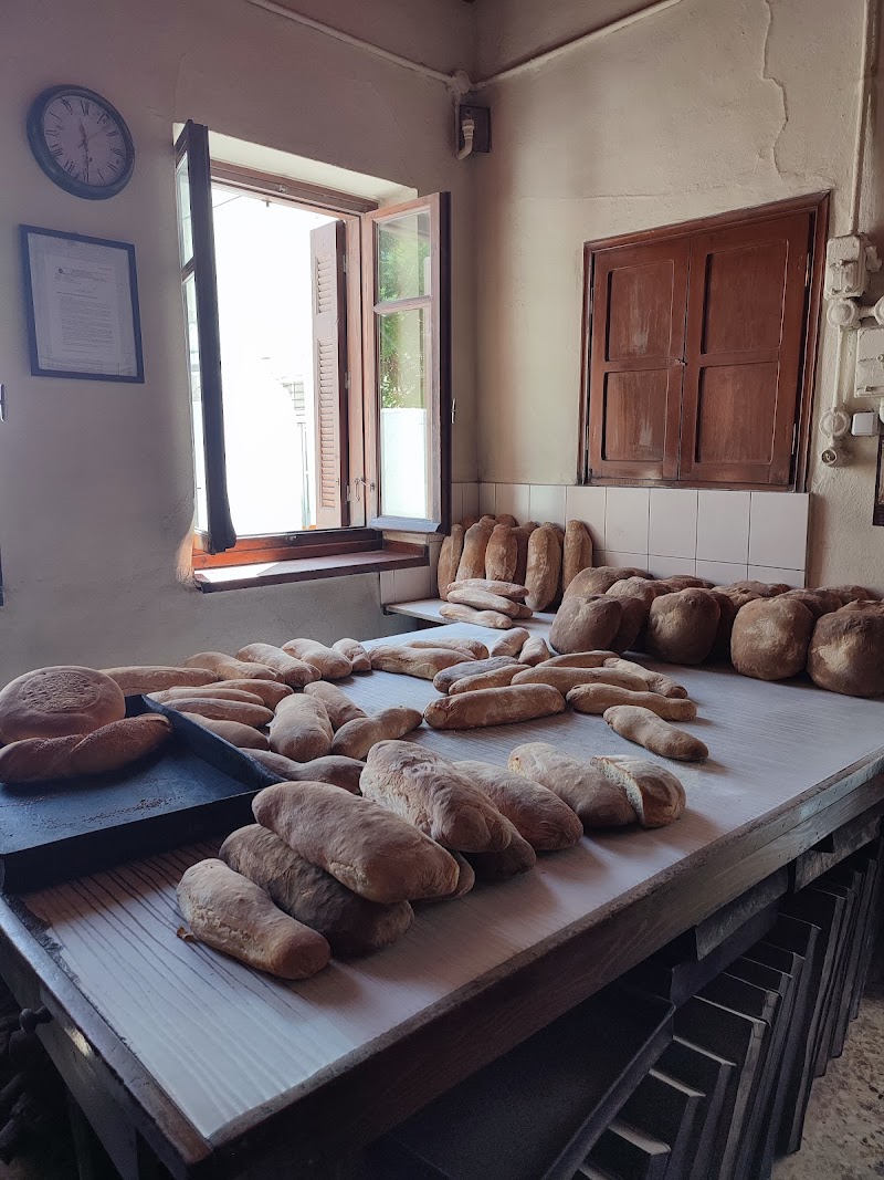 ΦΟΎΡΝΟΣ ΒΕΛΩΝΗ