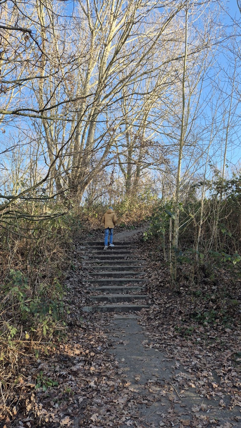 Park De Bult