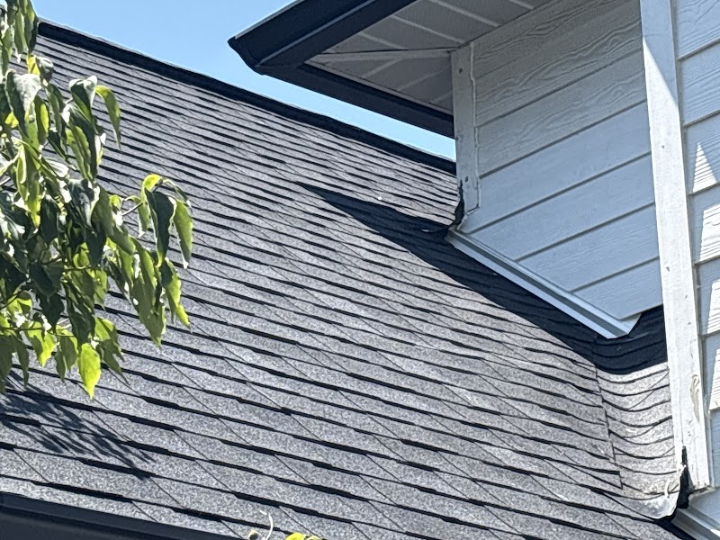 Lifetime Quality Roofing photo 2