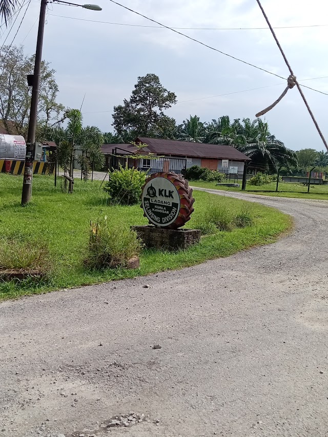 SJK(T) LADANG SELINSING photo 2