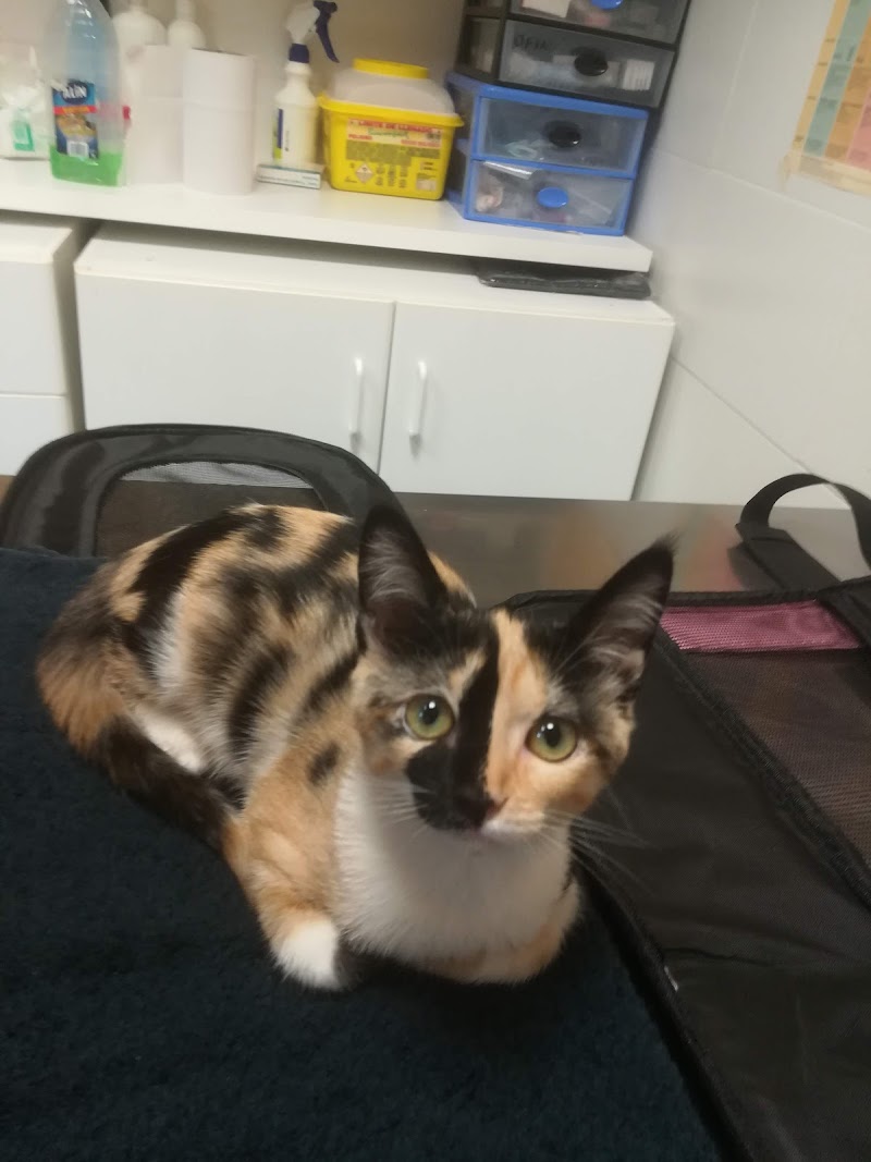 Clínica Veterinaria Ciudad de Badajoz