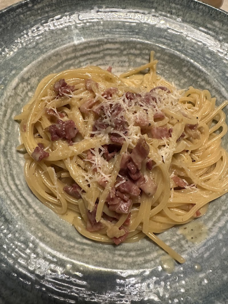 Saraya Gallery photo 5