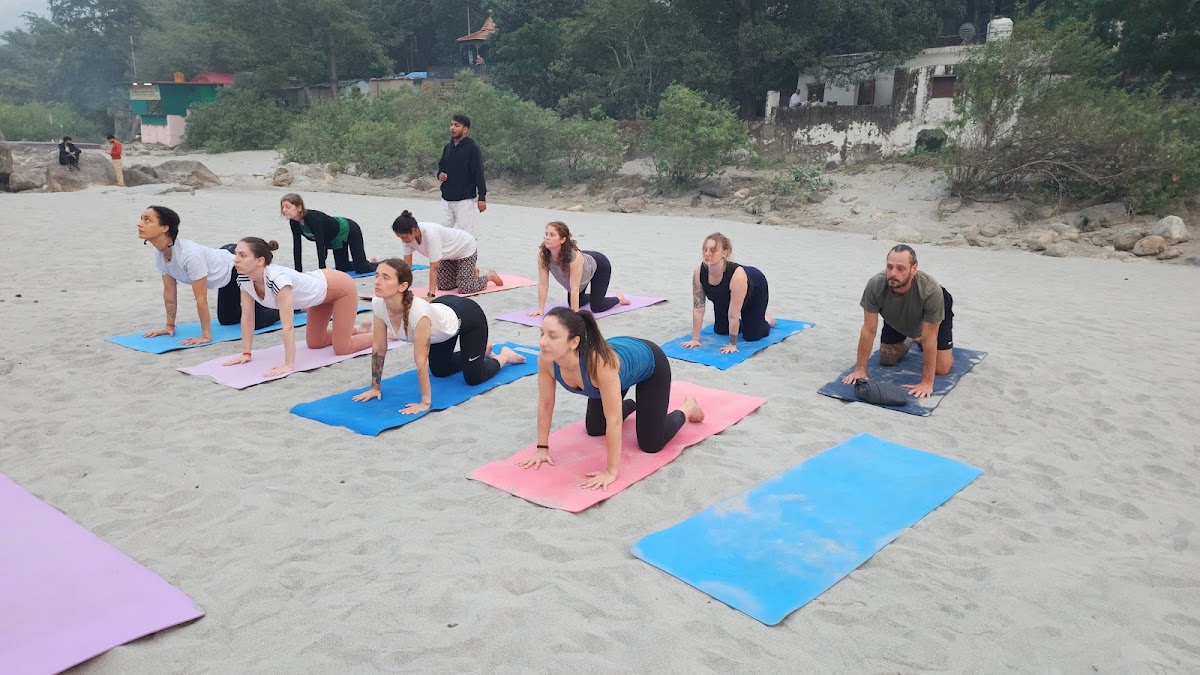 Sri Yoga Ashram | Yoga Teacher Training Course Provider in Rishikesh — 3
