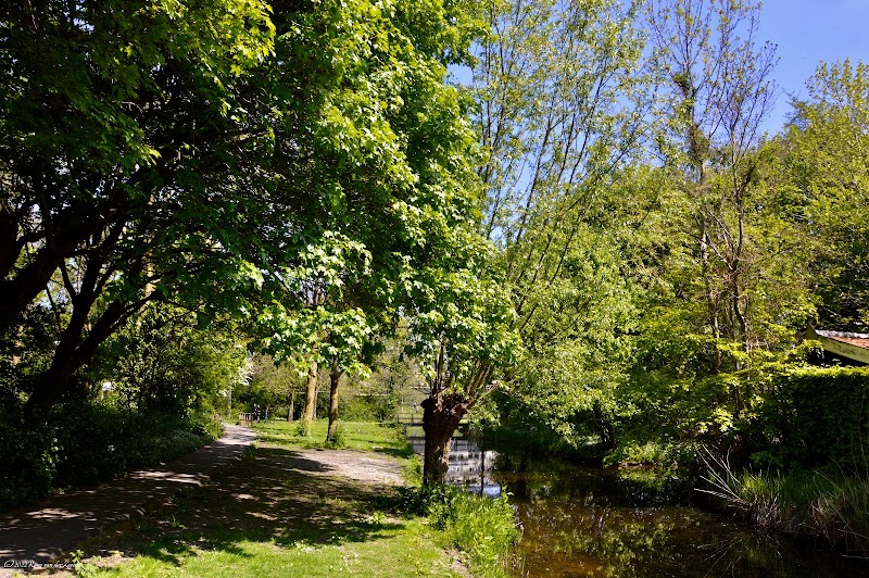 Stevenspark