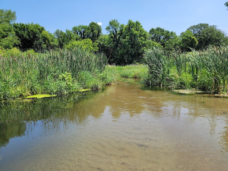 Grove Lake Wildlife Management Area - Photo 4