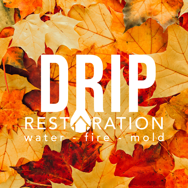Drip Restoration — photo