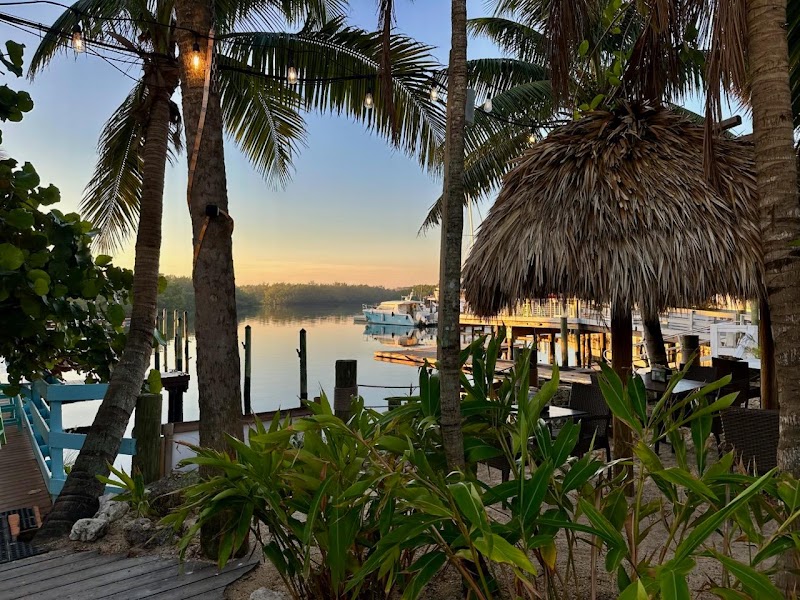 Patrona Coastal Cafe photo 3