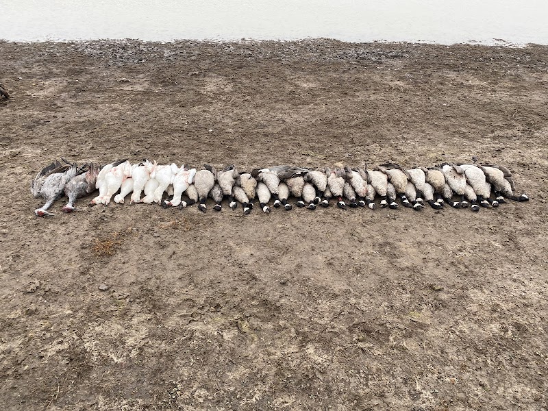 Prairie Bomb Outfitters - Photo 1