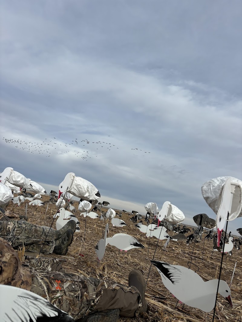 Prairie Bomb Outfitters - Photo 5