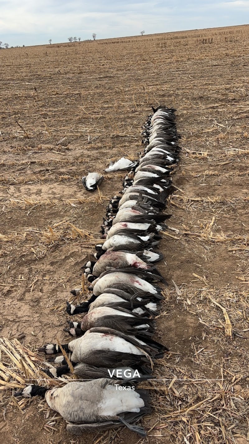 Prairie Bomb Outfitters - Photo 3