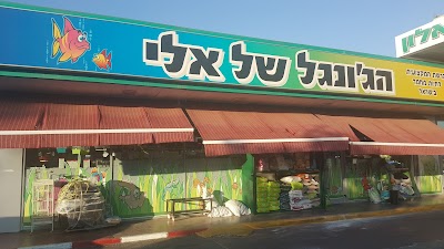הג'ונגל של אלי (משמר השרון)