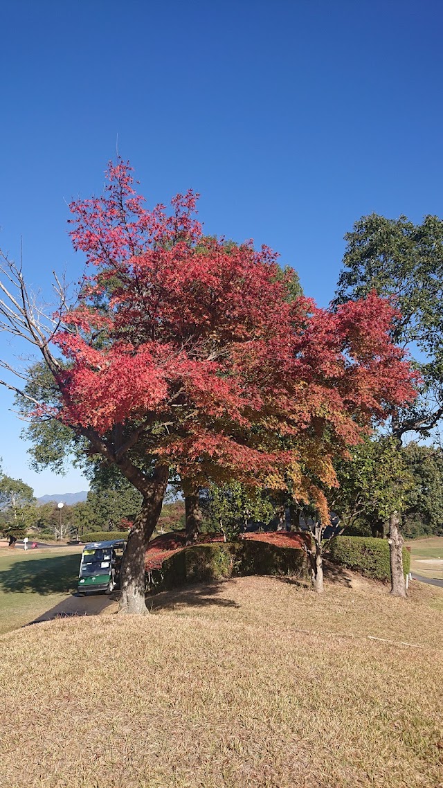 Kasumi Golf Club - Photo 5