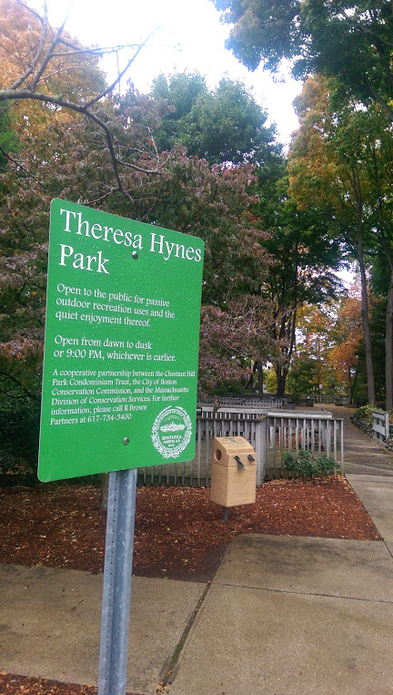 Theresa Hynes Park photo 4