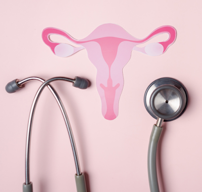 Women's Wellness World - Image 2