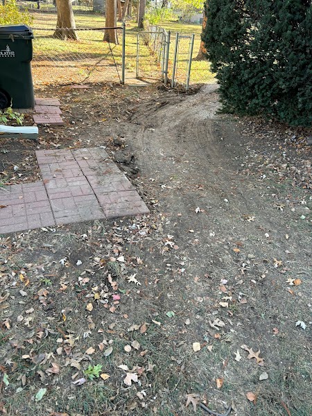 Certified Tree Care